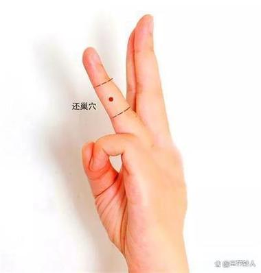 按摩哪个穴位降尿酸