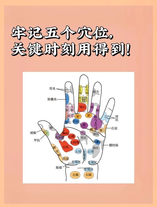 手心上都有什么穴位