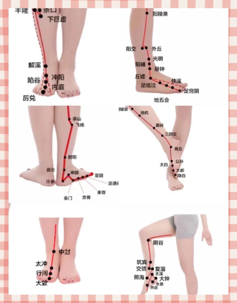 小脚趾外侧什么穴位