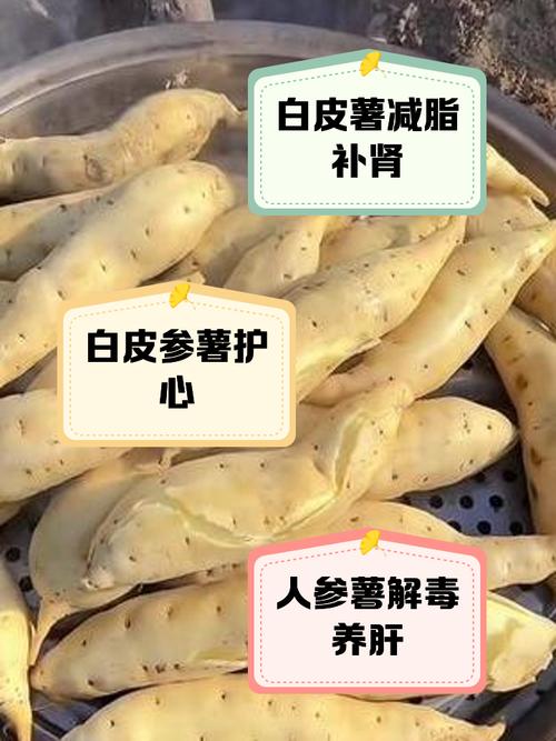 类风湿患者能吃土豆吗