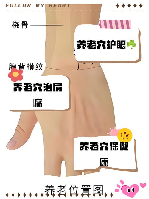 养老穴位按摩的功效