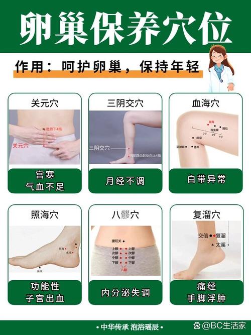 子宫 卵巢穴位按摩