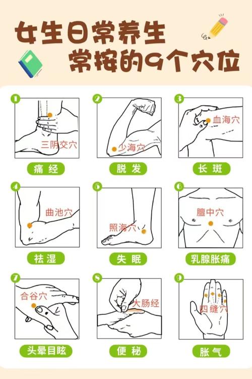 中医穴位疗皮肤弹性