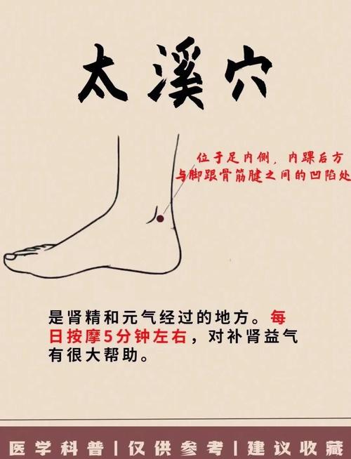 壮阳应该按那个穴位