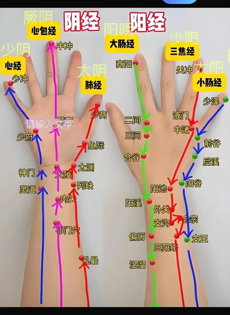 人体手上穴位高清图