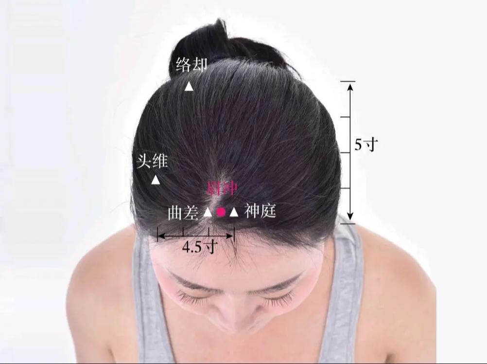 眉毛尾端的穴位主管