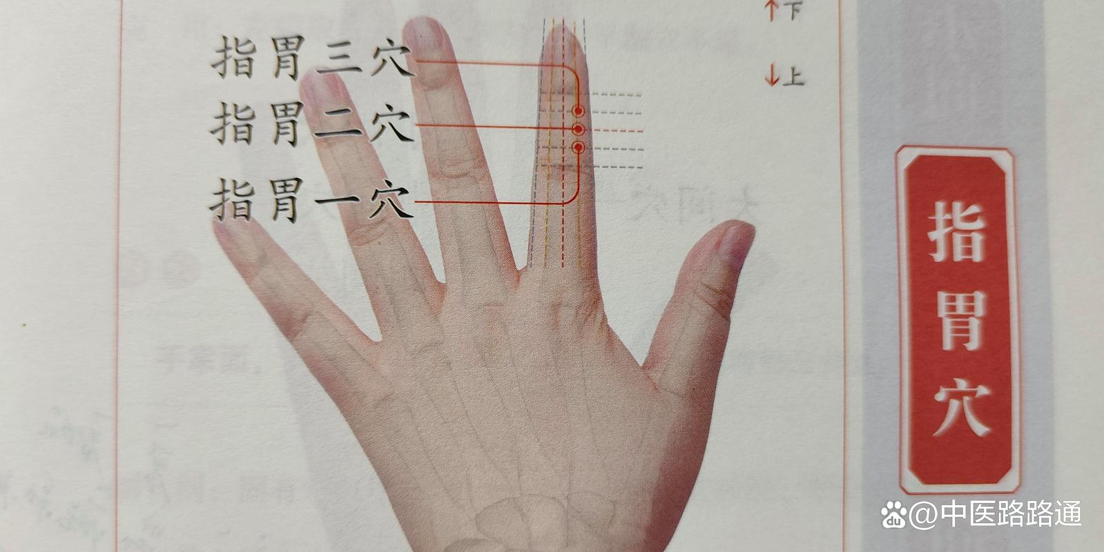 胃溃疡中医针灸穴位