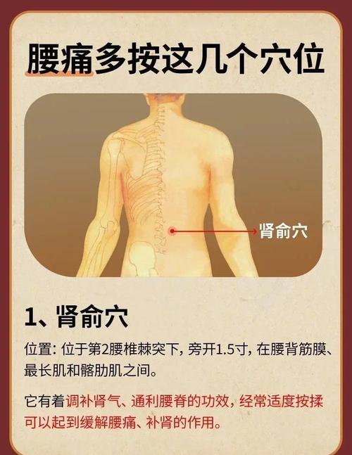 人体腰部有什么穴位