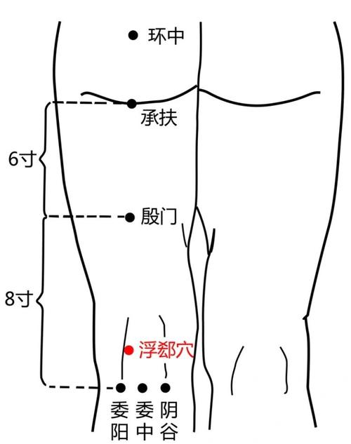 腿脚酸痛按什么穴位