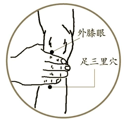 腿脚酸痛按什么穴位