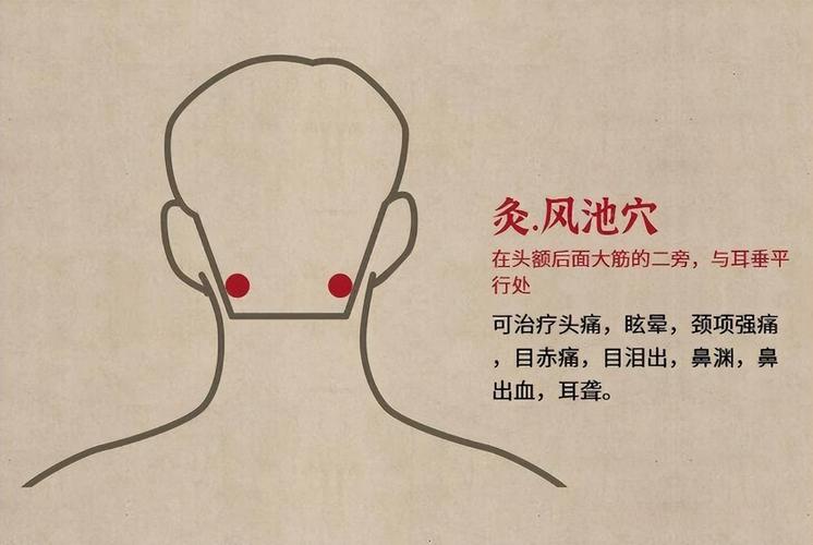 风寒头疼按哪个穴位
