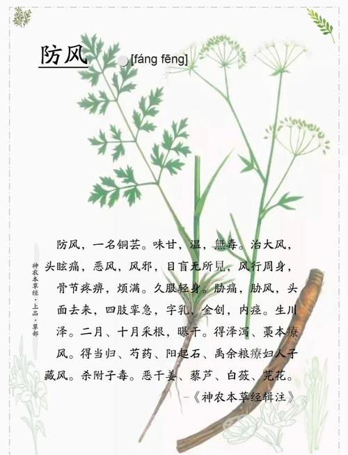 去风湿吃什么最好方法