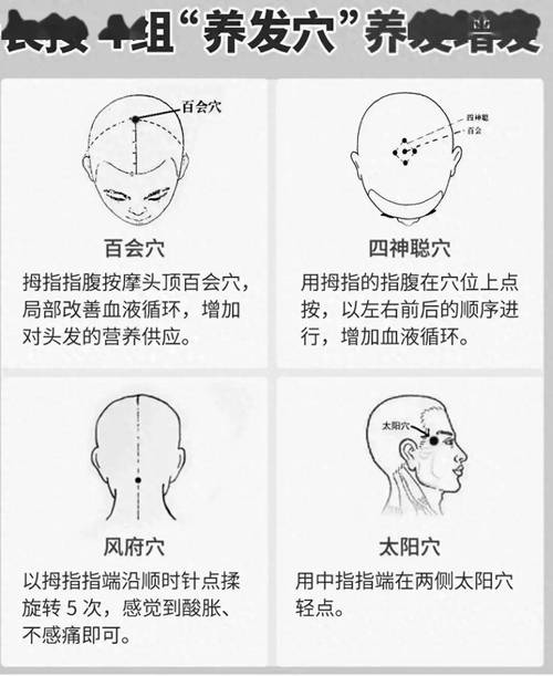 头上可以艾灸的穴位