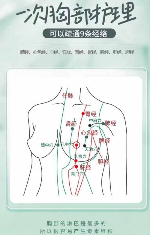 女性乳房穴位位置图