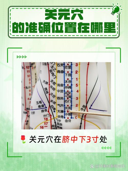 关元穴位位置图作用