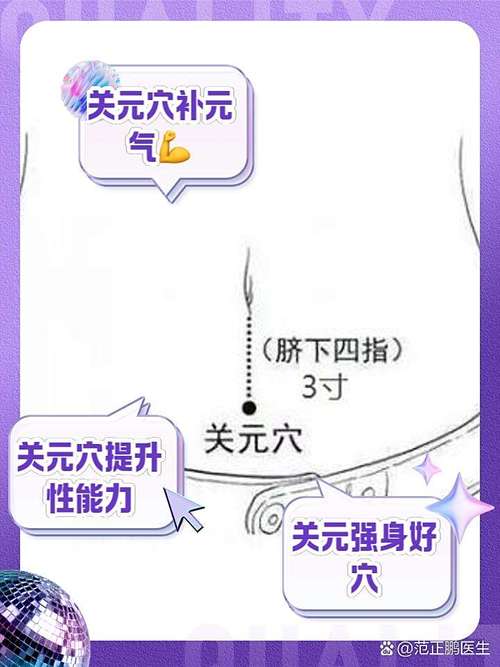 关元穴位位置图作用