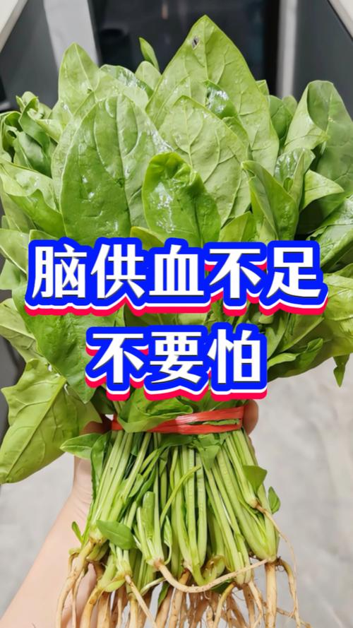 脑梗高血压吃什么菜好