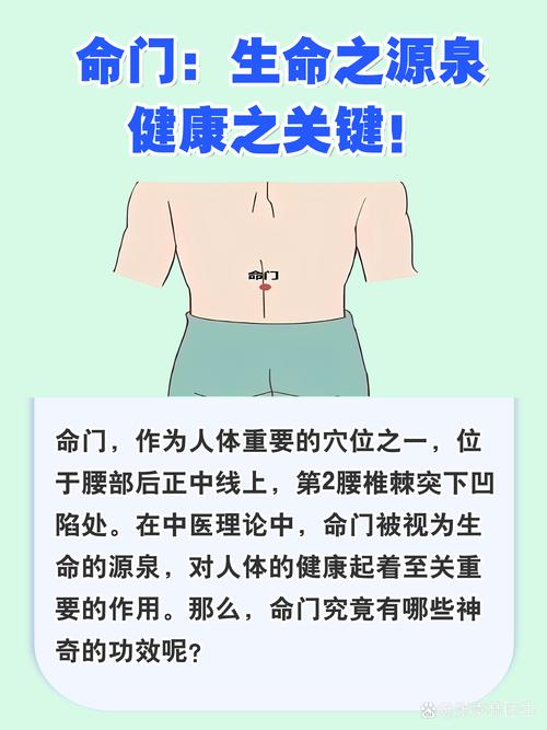 中医按摩命门穴位置