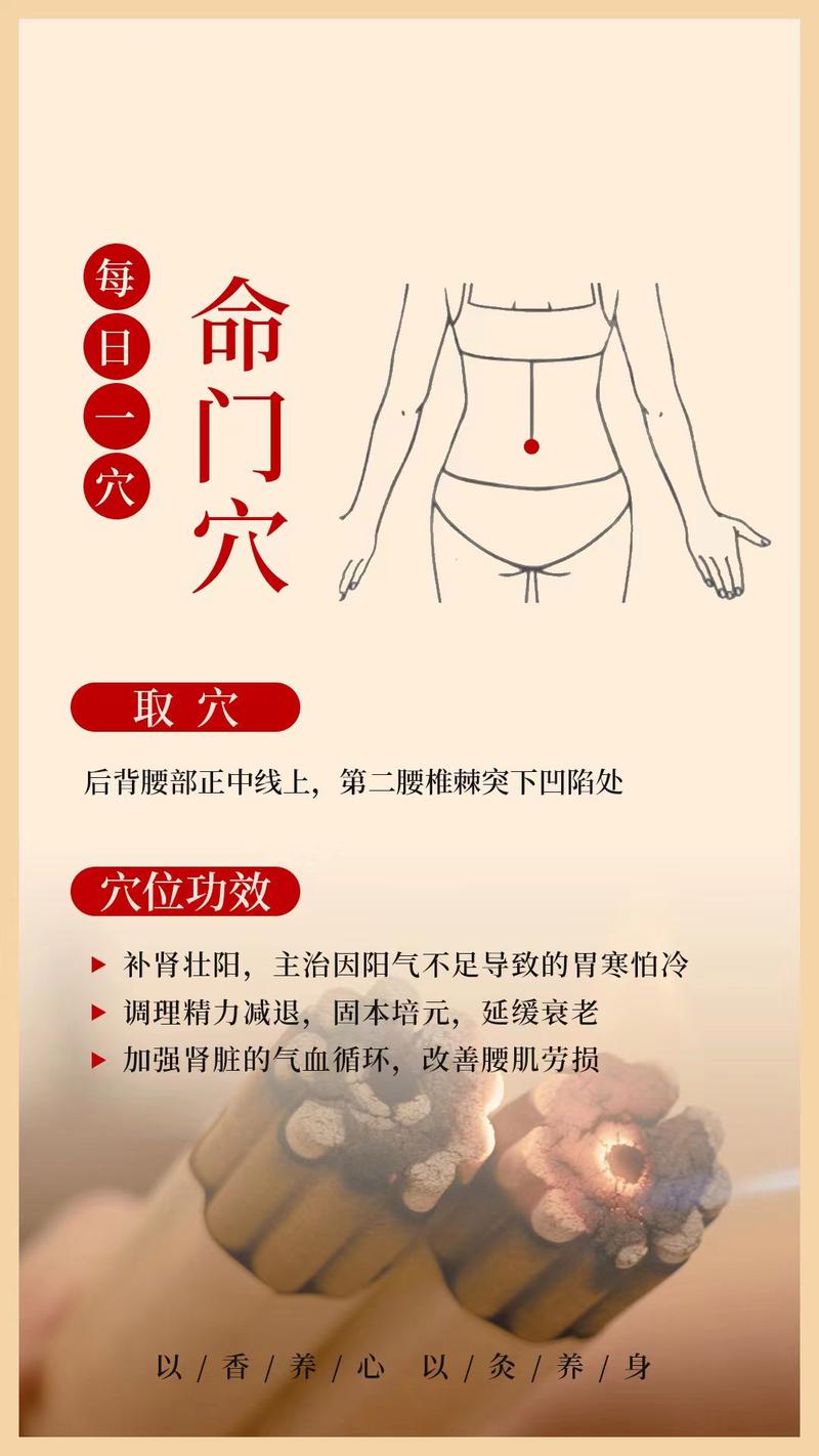 中医按摩命门穴位置