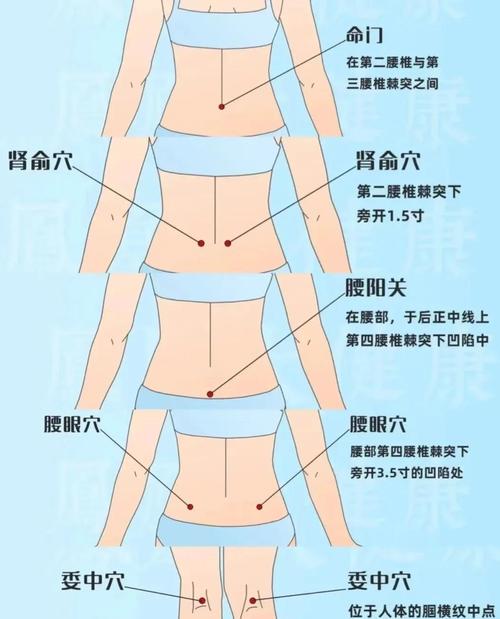 艾灸后背腰疼的穴位