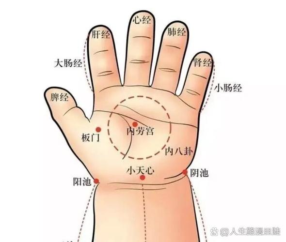 小儿惊厥按什么穴位