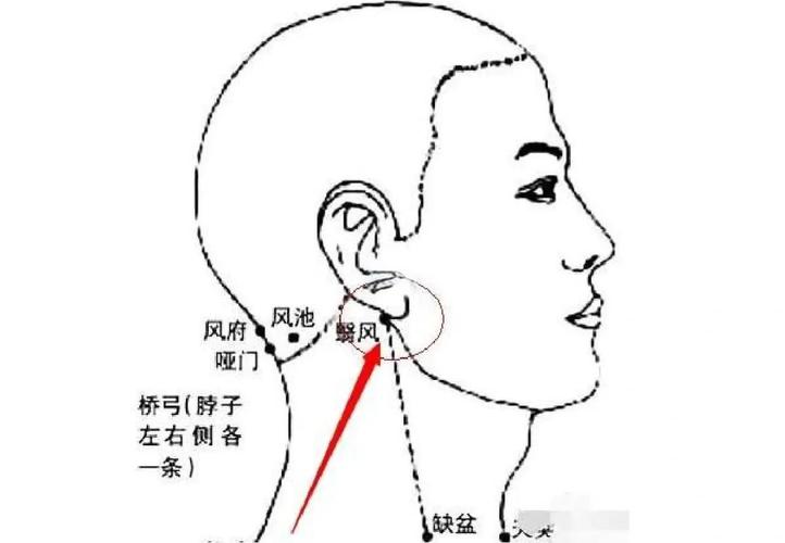 左边牙疼按什么穴位
