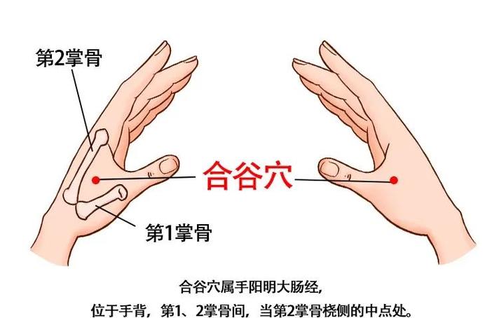 左边牙疼按什么穴位