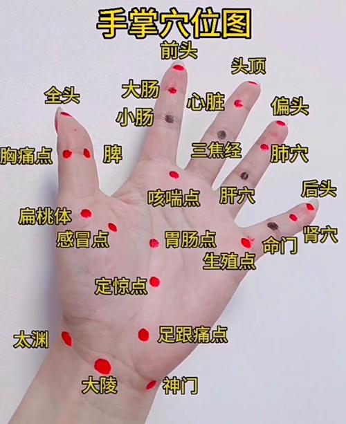 右手手心有什么穴位