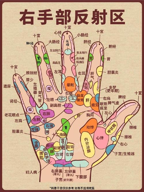 右手手心有什么穴位