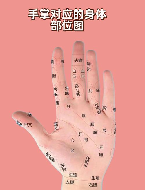 右手手心有什么穴位