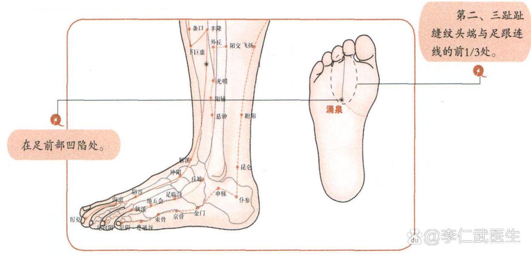 小脚趾上有哪些穴位