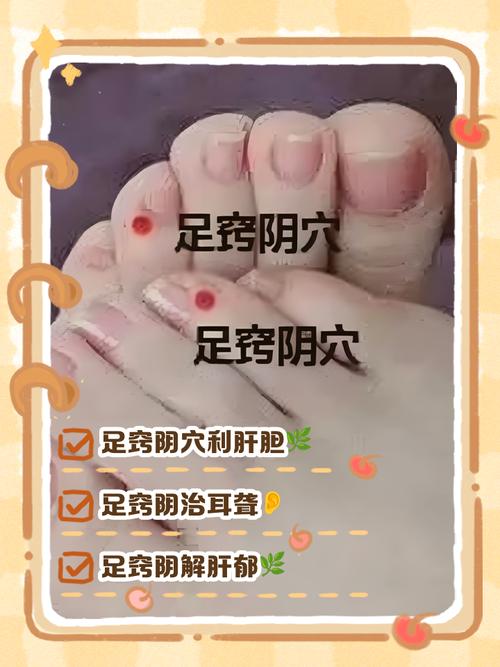 小脚趾下面什么穴位