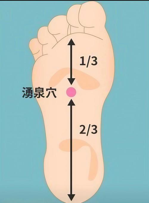 小脚趾下面什么穴位