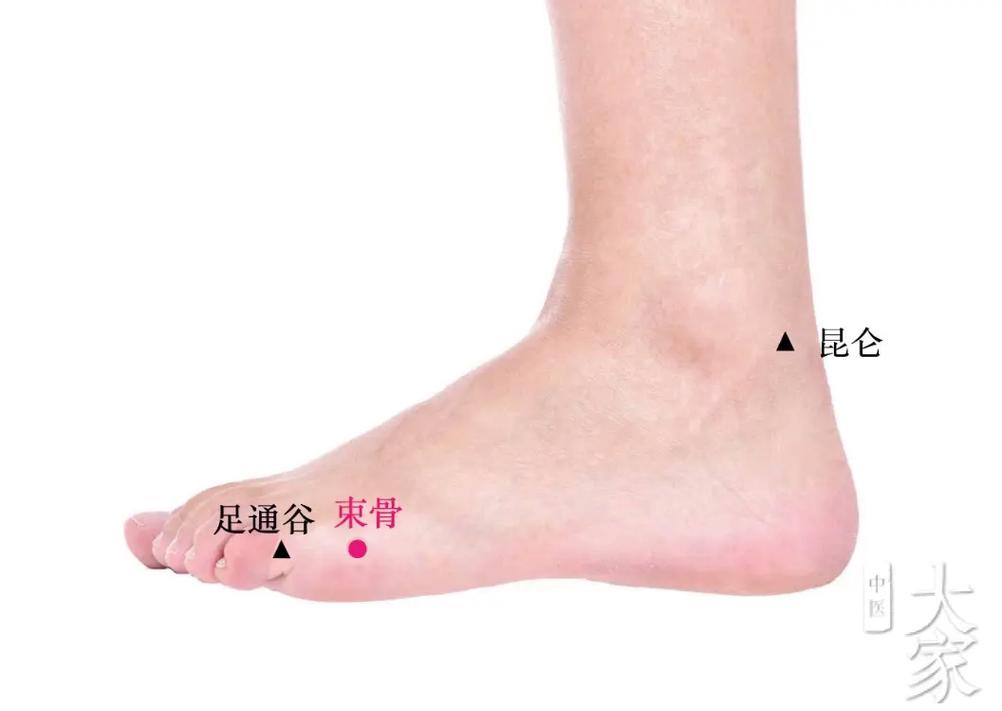 小脚趾下面什么穴位