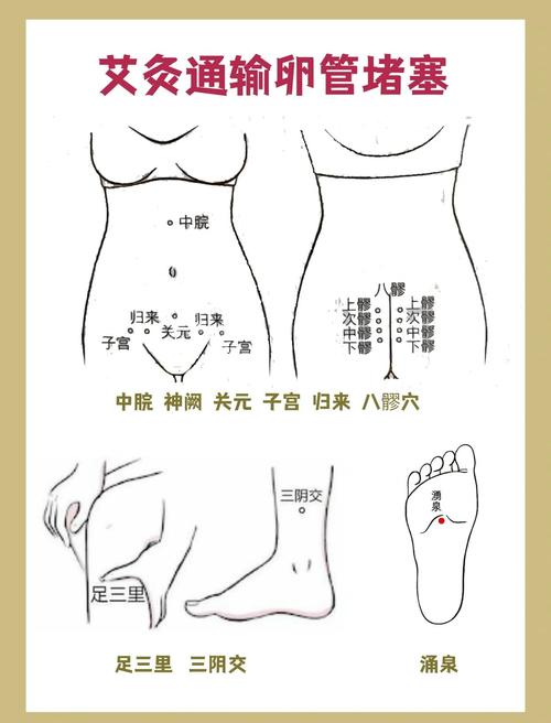 按什么穴位保护卵巢