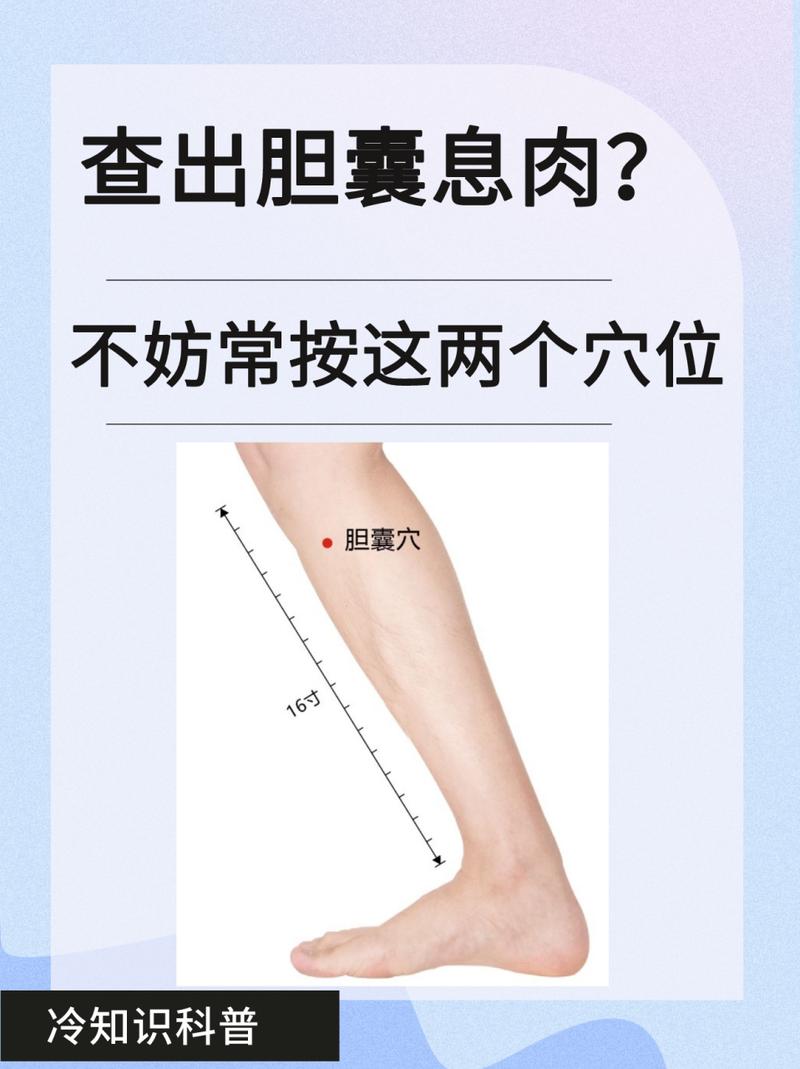 胆囊穴位于哪个部位