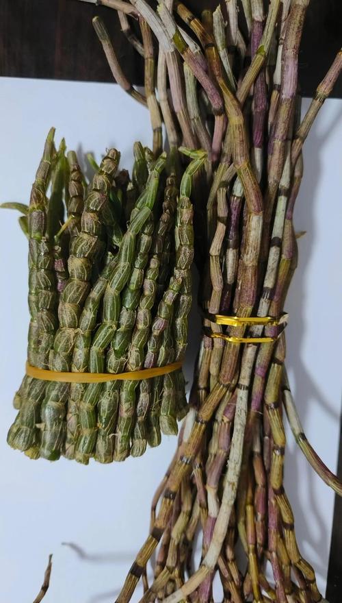 铁皮石斛可以治风湿吗