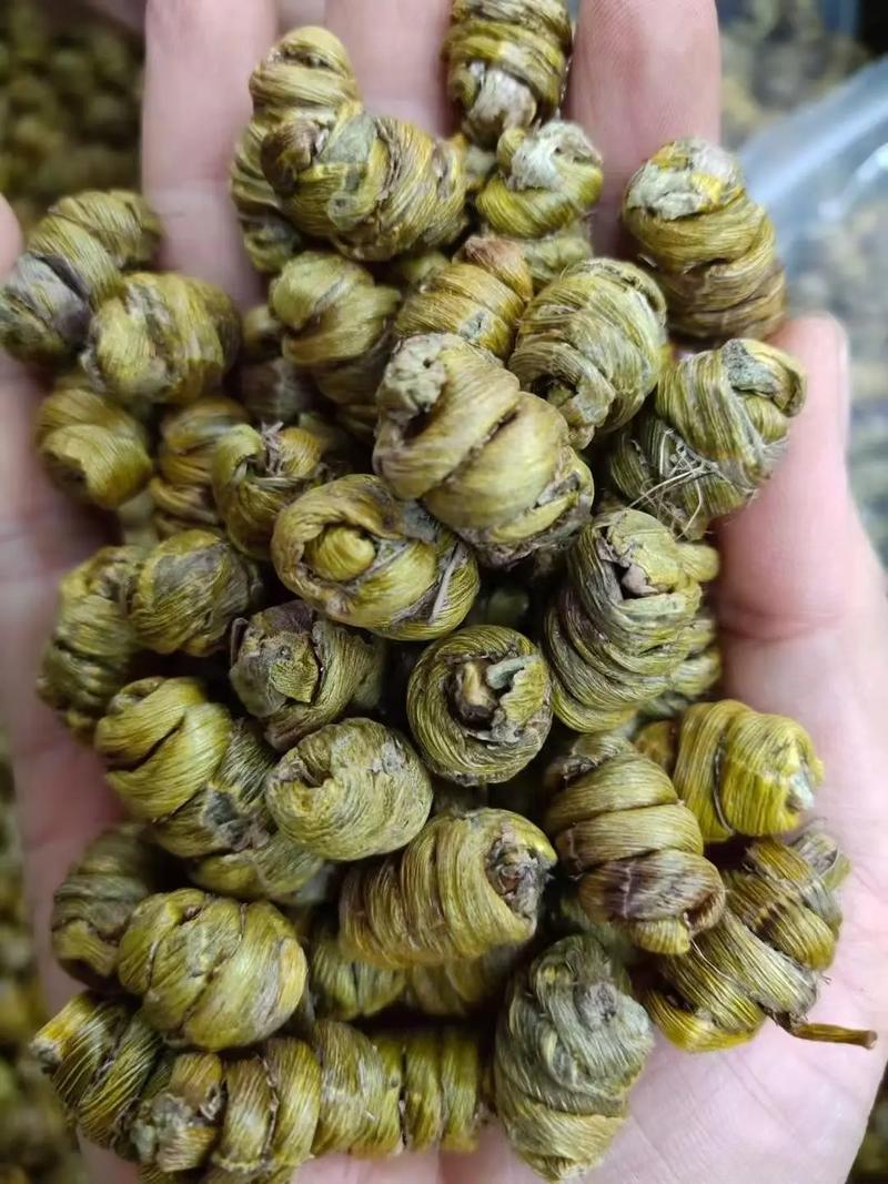 铁皮石斛可以治风湿吗