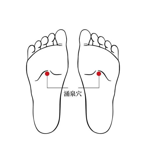 人体穴位水泉的功效