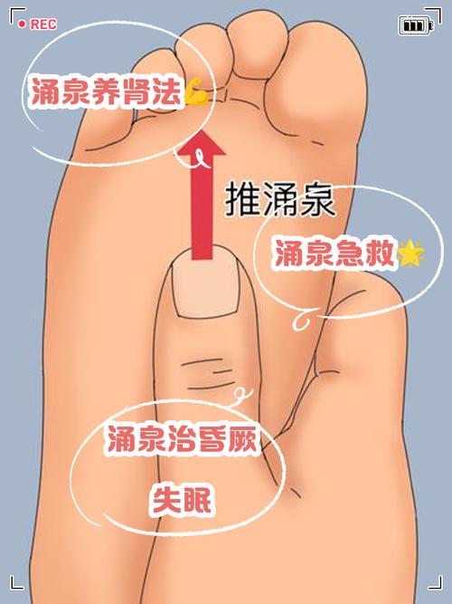 人体穴位水泉的功效