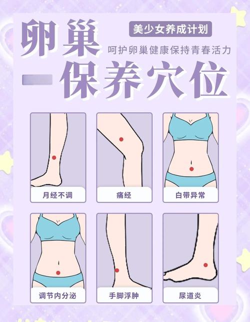 提高女性雌激素穴位