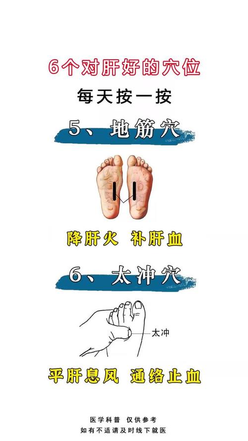 慢性肝病按什么穴位