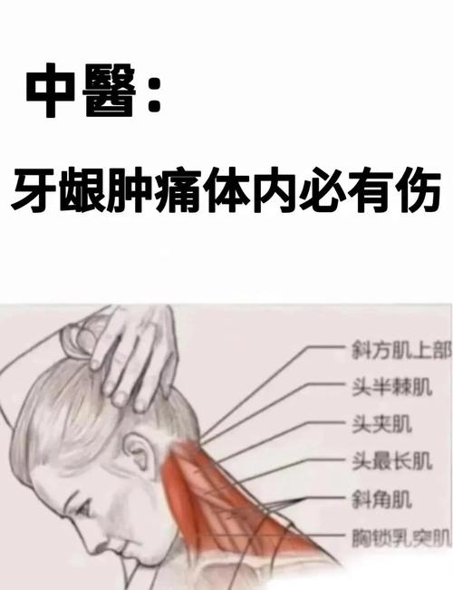 治疗牙疼按什么穴位