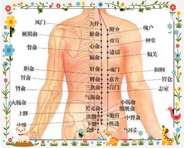 肩甲骨上的穴位.