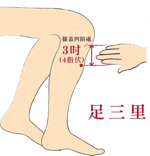 治疗脾虚血虚的穴位