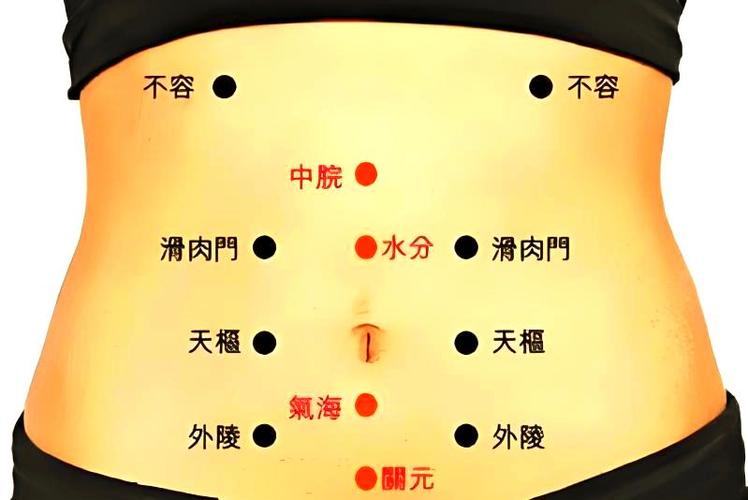 降血脂穴位滑肉门穴