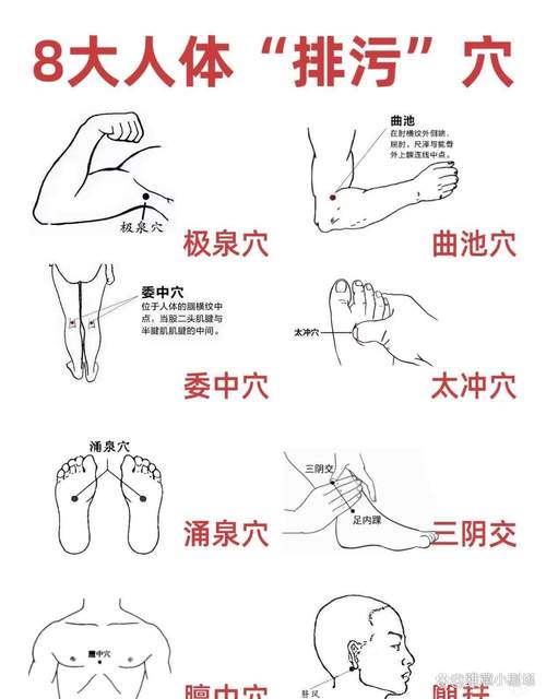 恶心的话按什么穴位