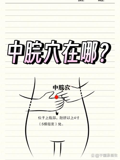 增强脾胃功能的穴位