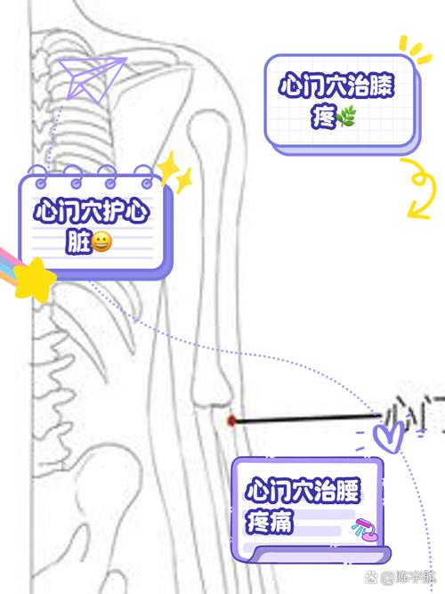 心脏早搏按摩的穴位