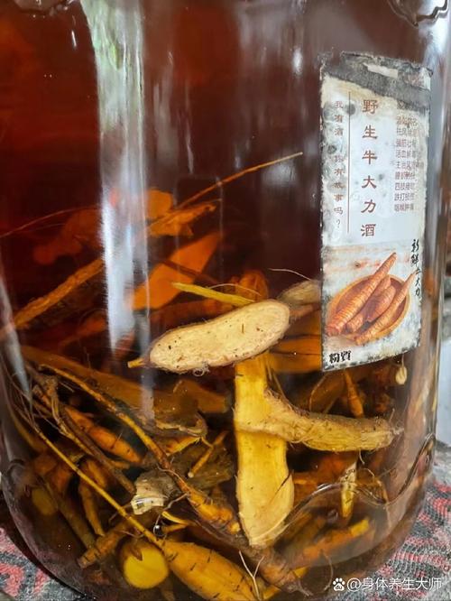 治疗内风湿的泡酒中药